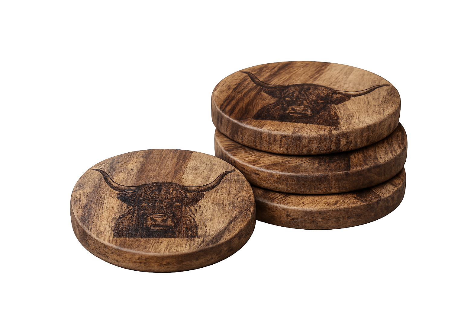 Highland Coaster set of 4
